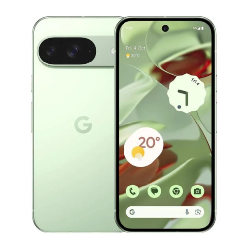 Купить Google Pixel 9 12Gb/128Gb Мятный в Минске