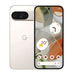 Google Pixel 9 12Gb/128Gb Фарфоровый