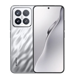 Xiaomi 15 12Gb/256Gb Серебристый