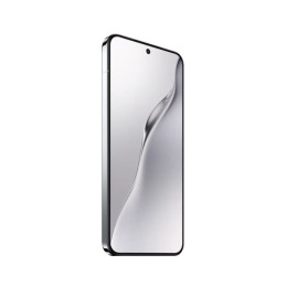 Xiaomi 15 12Gb/256Gb Серебристый